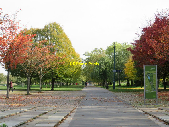 Photo 6"x4" Autumn colours in Burgess Park Camberwell c2020 P3