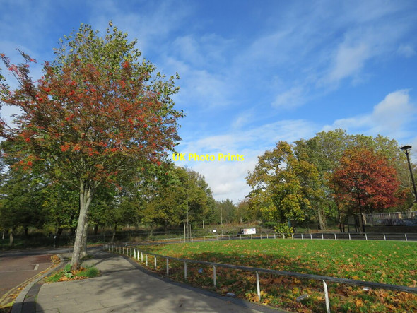 Photo 6"x4" Autumn colours on Chandler Way, North Peckham Camberwell c2020