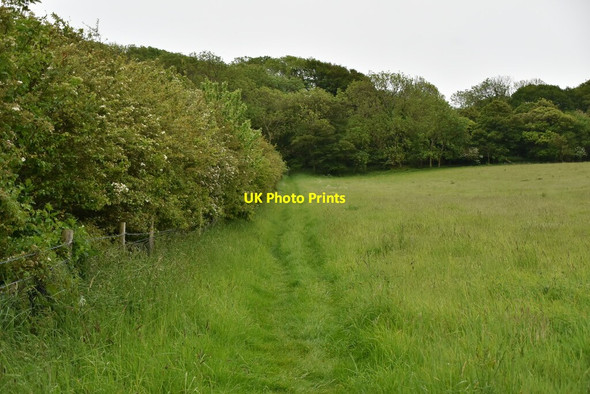 Photo 6"x4" Bridleway to Wroxall Down Ventnor c2019
