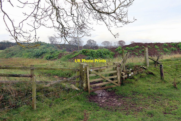 Photo 6"x4" Gate on bridleway near Bellway Quarry Great Whittington c2020