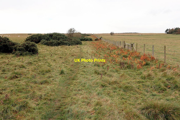 Photo 6"x4" Bridleway to Bingfield Great Whittington c2020