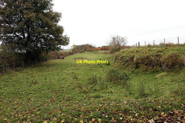 Photo 6"x4" Disused quarry near Bingfield East Quarter Bingfield c2020