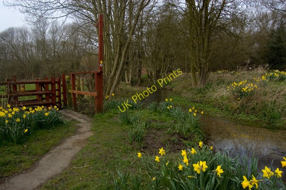 Photo 6"x4" Mill Beck and footpath, Goodmanham Goodmanham c2009