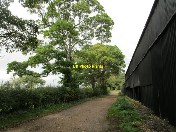 Photo 6"x4" Bridleway to Broughton Pytchley c2020