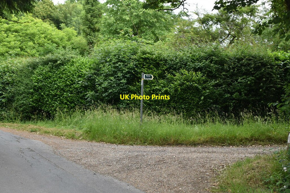 Photo 6"x4" Byway off Fosten Lane Goose Green\/TQ8437 c2020