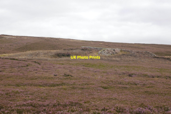 Photo 6"x4" Sheep shelter, Hallywell Rig Longformacus c2020