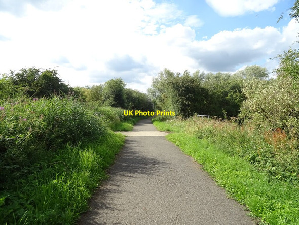 Photo 6"x4" National Cycle Route 1 towards Bardney Southrey c2020