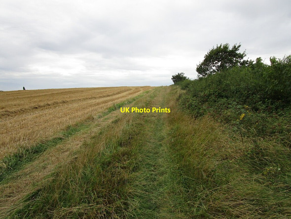 Photo 6"x4" Bridleway to Titchmarsh Wood Sudborough c2019