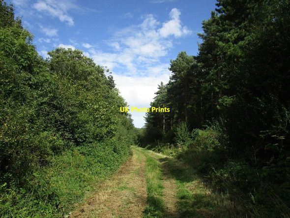 Photo 6"x4" Bridleway to Aldwincle Sudborough c2019