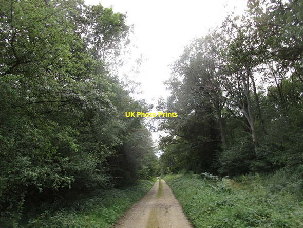 Photo 6"x4" Bridleway to Aldwincle Sudborough c2019