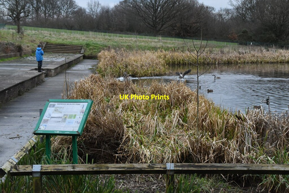 Photo 6"x4" Oakwood Wildlife Pond Southgate\/TQ3094 c2020 P1