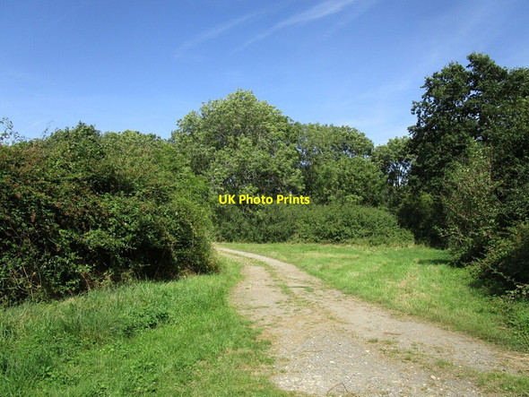 Photo 6"x4" Bridleway to Lyveden Wadenhoe c2019