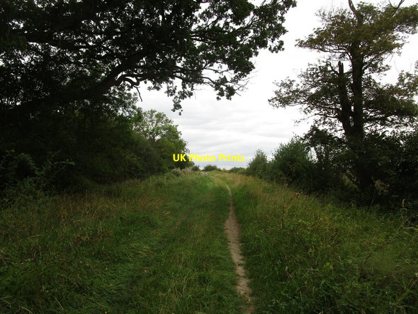 Photo 6"x4" Byway to Harley Way Wadenhoe c2019