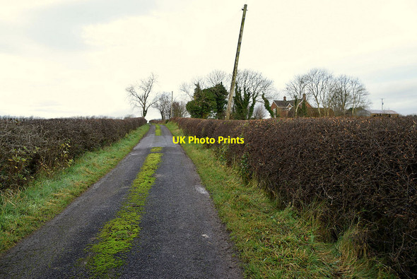 Photo 6"x4" Fountain Lane, Coolesker Beragh c2020
