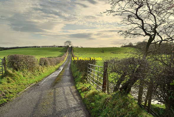 Photo 6"x4" A country walk along Fountain Lane Beragh c2020