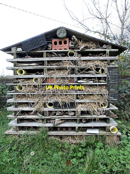 Photo 6"x4" Insect Hotel Askamore c2020