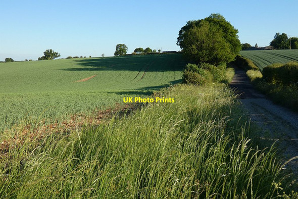 Photo 6"x4" Farmland and byway, Brightwalton Brightwalton c2020