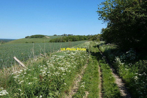 Photo 6"x4" Byway and farmland, Ham Rivar c2020