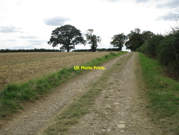 Photo 6"x4" Bridleway from Little Oakley to Geddington and Newton Little Oakley\/SP8985 c2019