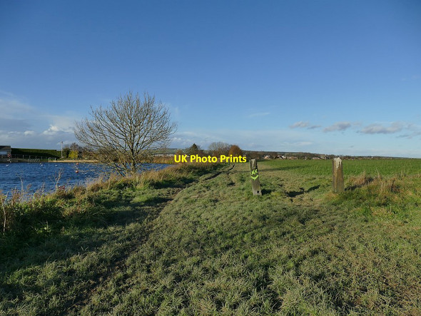 Photo 6"x4" Footpath alongside Larkfield Tarn Yeadon c2020