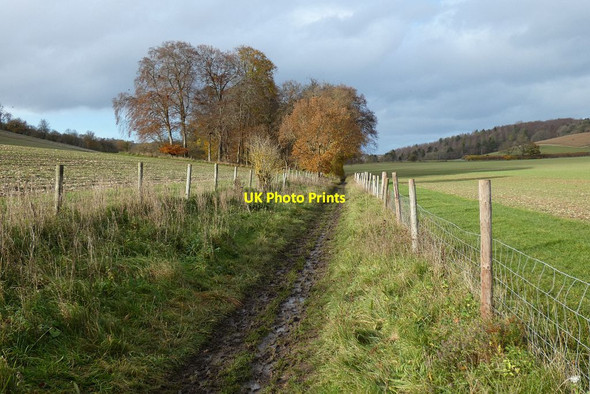 Photo 6"x4" Bridleway and farmland, Ibstone Turville c2020
