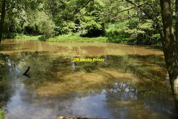 Photo 6"x4" Pond near South Farm Birchden c2020