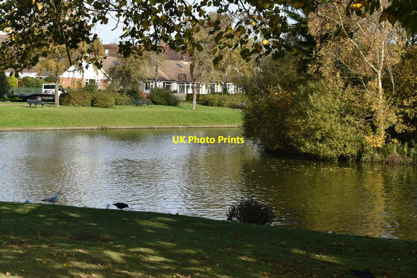 Photo 6"x4" Common Pond Hailsham c2019 P2