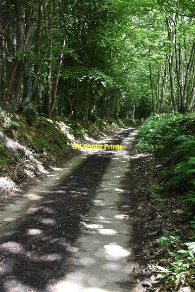 Photo 6"x4" Bridleway, Coalend Wood Heathfield\/TQ5821 c2020