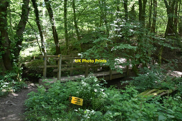 Photo 6"x4" Footbridge in Quarry Wood Heathfield\/TQ5821 c2020