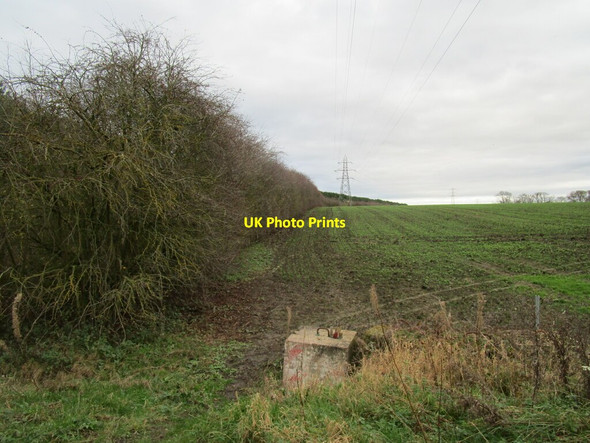 Photo 6"x4" Screening on the edge of a gypsum quarry Cotham\/SK7947 c2020