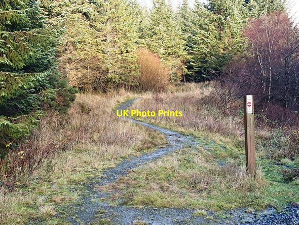 Photo 6"x4" Mountain bike trail in Kilmichael Forest Bridgend\/NR8592 c2020
