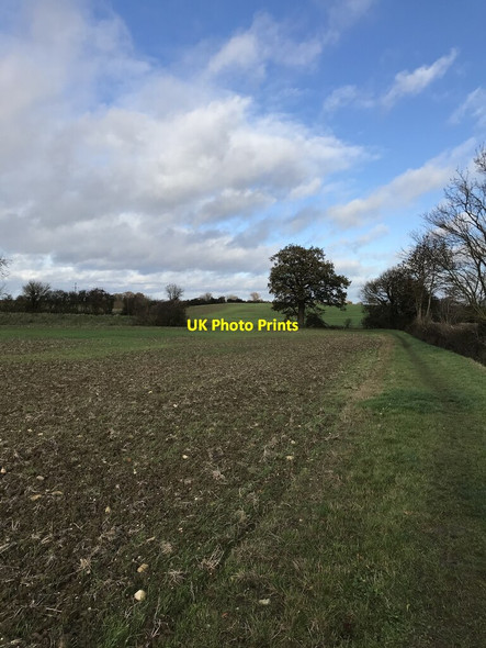 Photo 6"x4" Bridleway near Clopton Clopton c2020