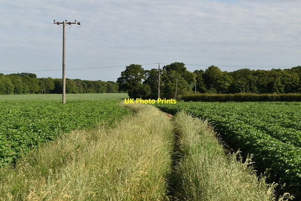 Photo 6"x4" Bridleway to Cutler's Wood Freston c2019