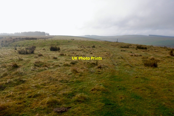 Photo 6"x4" Southern Upland Way waymark, Scoured Rig Blythe c2020