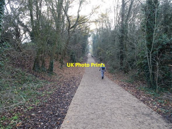 Photo 6"x4" Path Scene Castlecroft c2020