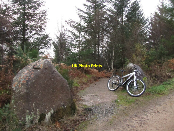 Photo 6"x4" Backies Mountain Bike Trail Backies\/NC8302 c2020