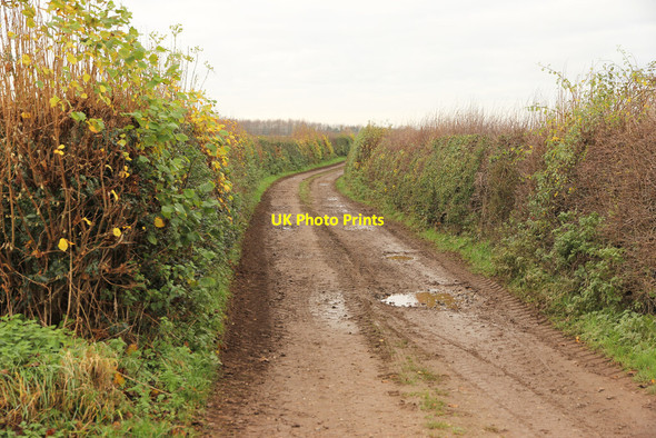Photo 6"x4" Restricted byway Holbeck\/SK5473 c2020