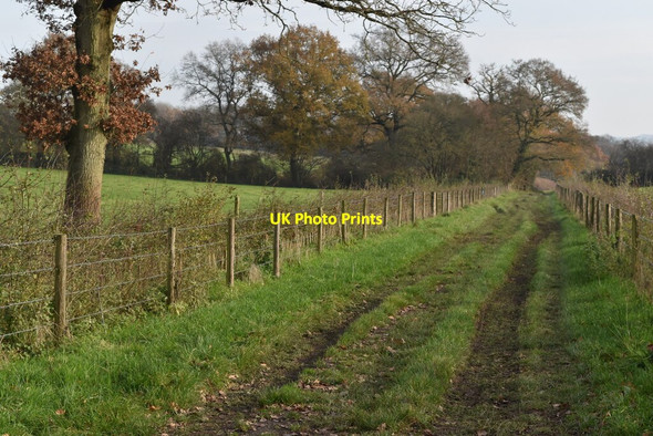 Photo 6"x4" Bridleway near Crown Farm Cottages Bossington\/SU3331 c2020