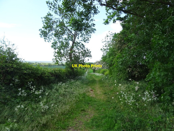 Photo 6"x4" Track (bridleway) to Benniworth Benniworth c2020