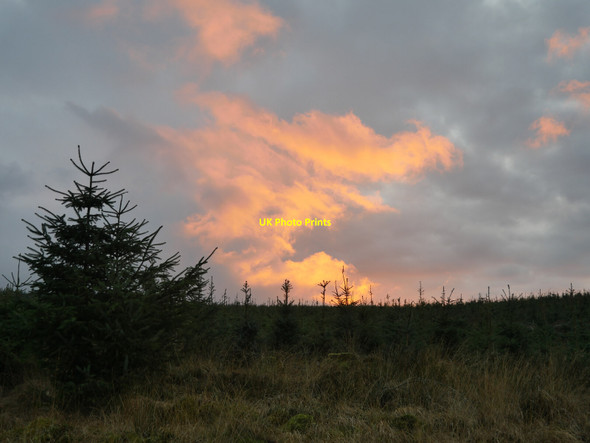 Photo 6"x4" Sunset and Sitka Lethem c2020