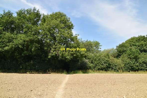 Photo 6"x4" Bridleway into the woods Crowhurst Lane End c2020