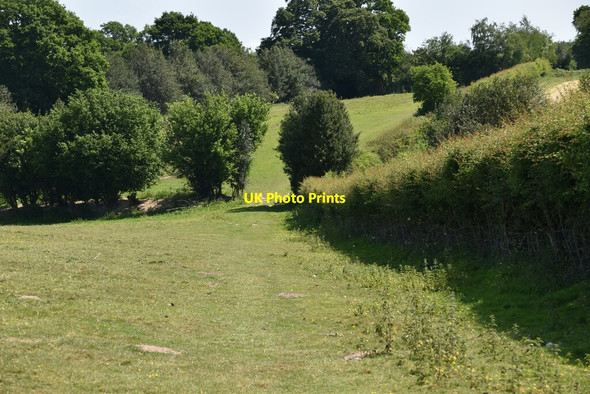 Photo 6"x4" Bridleway to Union Street Dale Hill\/TQ6930 c2020