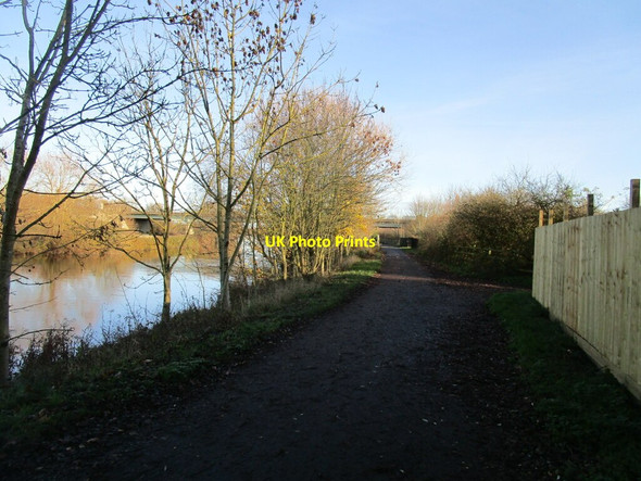Photo 6"x4" Trentside bridleway Newark-on-Trent c2020