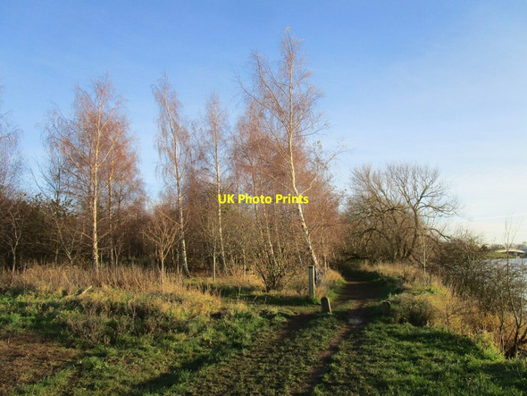 Photo 6"x4" Bridleway by the River Trent near Farndon Farndon\/SK7752 c2020