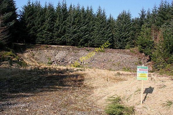 Photo 6"x4" Forest Quarry Craigend Hill\/NJ4534 c2009