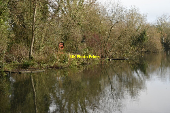 Photo 6"x4" View along edge of South Pond, Bishop's Waltham Bishop's Waltham c2020