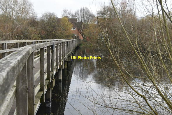 Photo 6"x4" Footbridge across North Pond, Bishop's Waltham Bishop's Waltham c2020