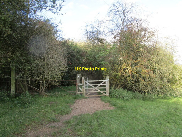 Photo 6"x4" Gate on a bridleway to Gotham Gotham\/SK5330 c2019