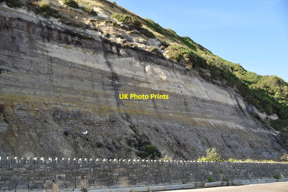 Photo 6"x4" East cliff Bournemouth c2019
