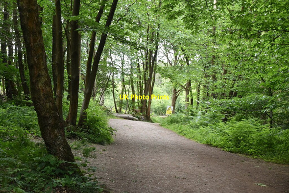 Photo 6"x4" Bridleway, Posingford Wood Chuck Hatch c2020